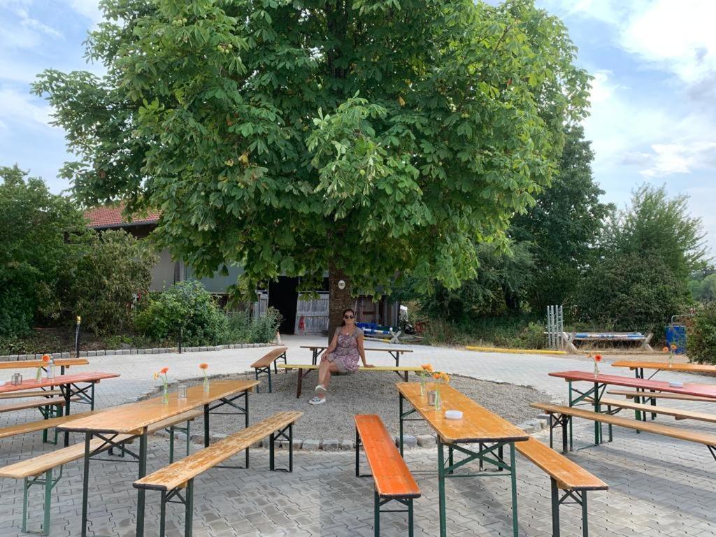 Reitschule Kronwitter Mainbernheim Luaran gambar