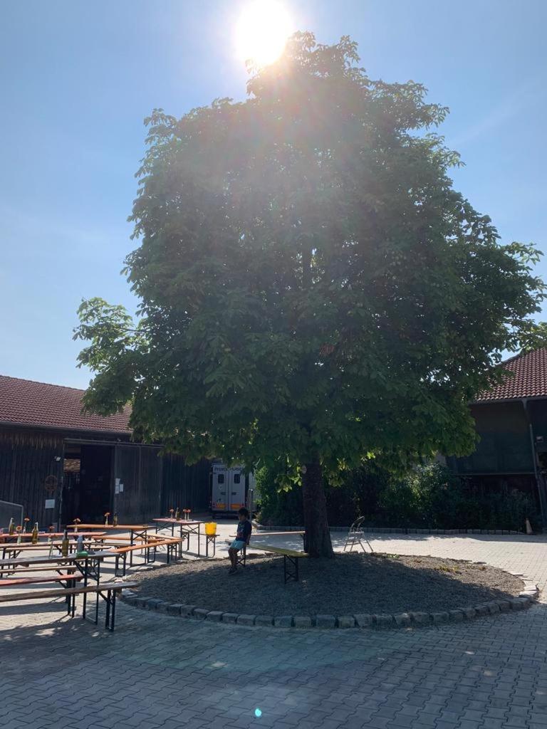 Reitschule Kronwitter Mainbernheim Luaran gambar